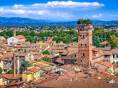 Věž Torre Guinigi v Lucca
